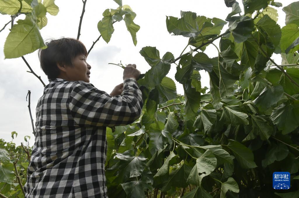 新开户游戏送体验金